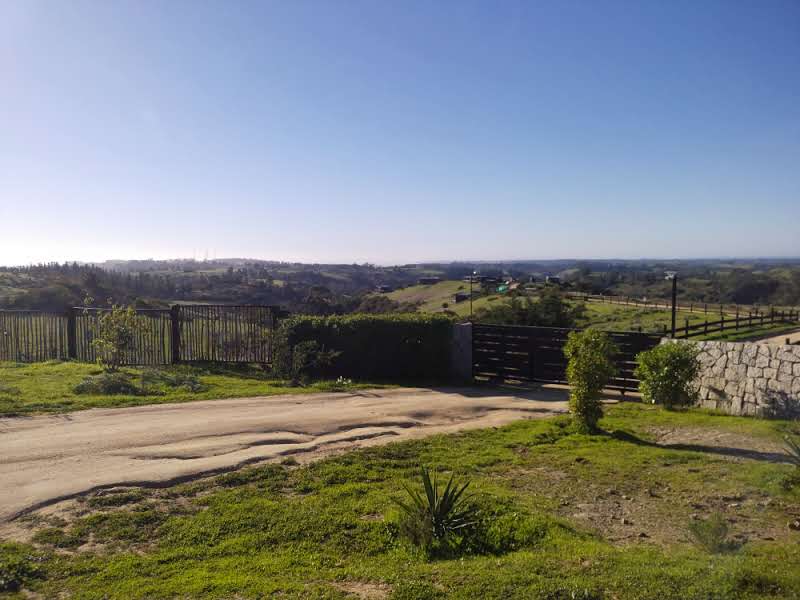Imagen 7