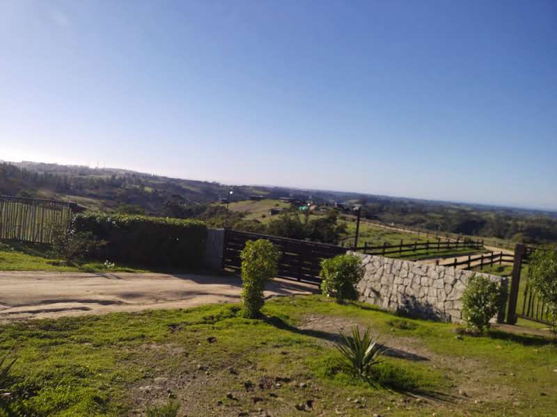Imagen 8