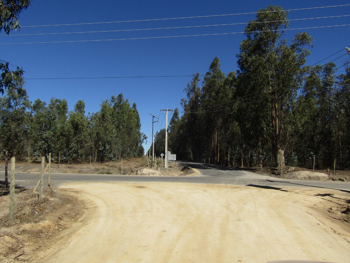 Imagen 9